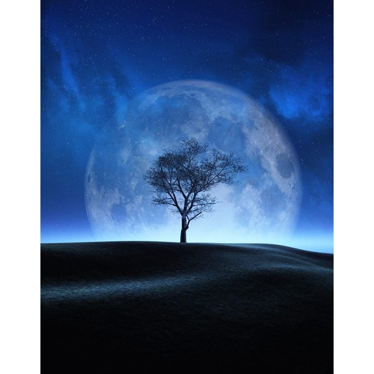 Πίνακας Ζωγραφικής Δέντρο στο Φως της Νύχτας – Decotek 191179-143815