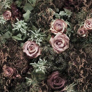 Φωτοταπετσαρία Τοίχου Λουλούδια - Komar - Decotek 8-980-0