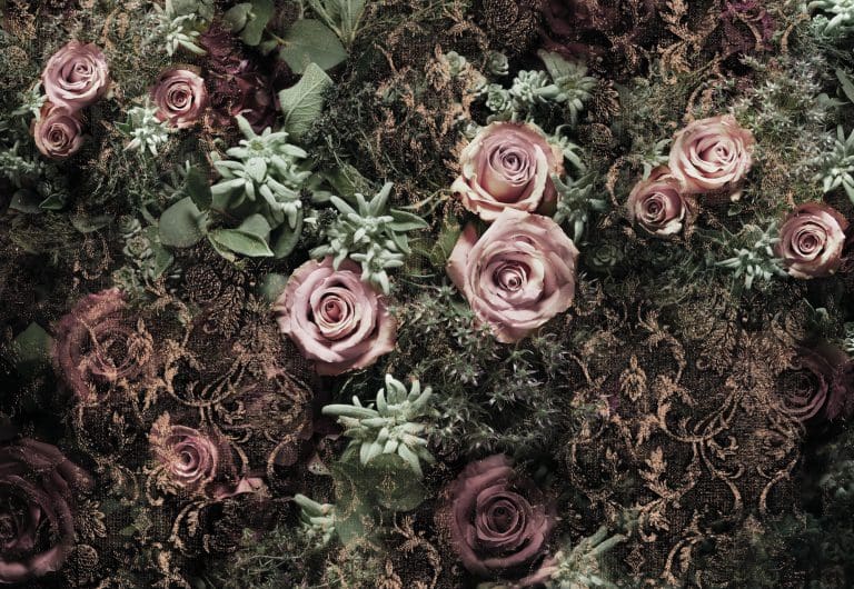 Φωτοταπετσαρία Τοίχου Λουλούδια - Komar - Decotek 8-980-0
