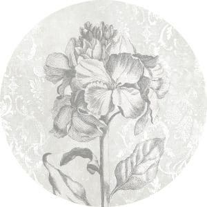 Στρόγγυλη Φωτοταπετσαρία Τοίχου Μπαρόκ Πινελιά - Komar, DOT - Decotek D1-031 (Ø 125 cm)-0