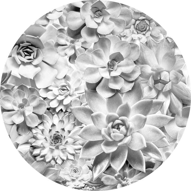 Στρόγγυλη Φωτοταπετσαρία Τοίχου Λουλούδια - Komar, DOT - Decotek D1-046 (Ø 125 cm)-0