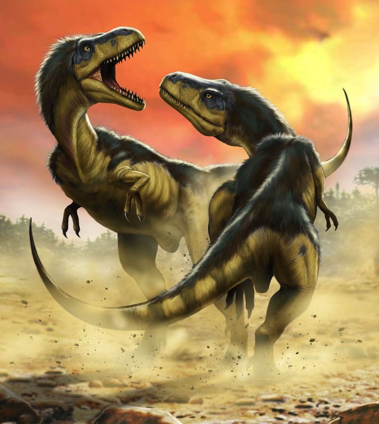 Φωτοταπετσαρία Τοίχου Αλπερτοσαύροι, Δεινόσαυροι - Komar - Decotek IANGX5-006 (250cm x 280cm)-0