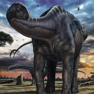 Φωτοταπετσαρία Τοίχου Αργεντινόσαυρος, Δεινόσαυροι - Komar - Decotek IANGX5-007 (250cm x 280cm)-0