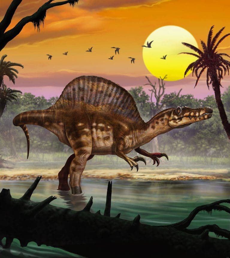 Φωτοταπετσαρία Τοίχου Σπινόσαυρος, Δεινόσαυροι - Komar - Decotek IANGX5-010 (250cm x 280cm)-0