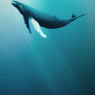 Φωτοταπετσαρία Τοίχου Φάλαινα - Komar - Decotek IAX4-0045 (200cm x 280cm)-0