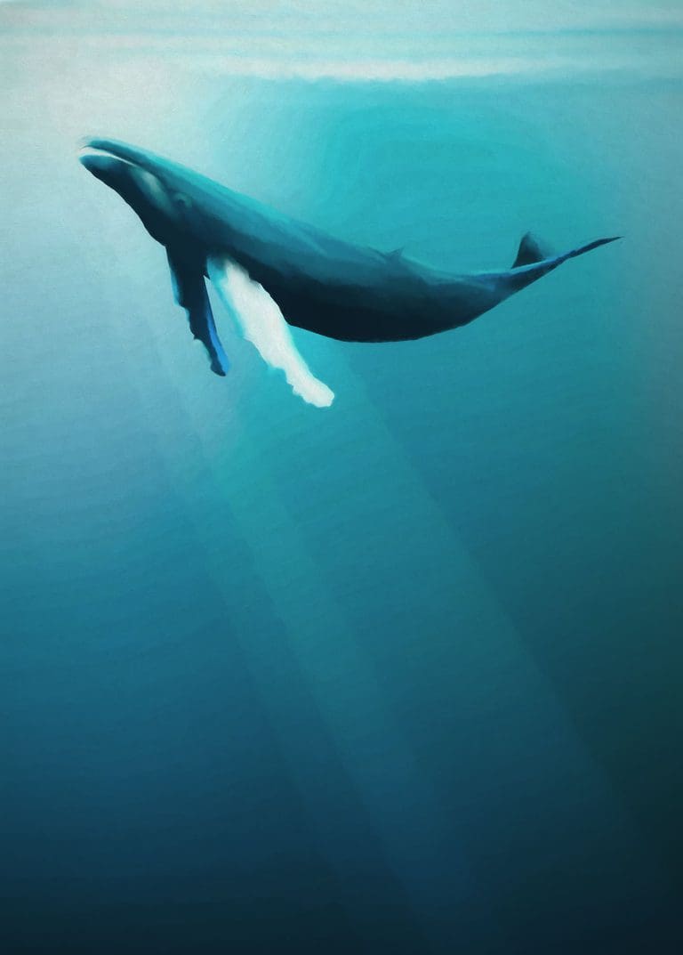 Φωτοταπετσαρία Τοίχου Φάλαινα - Komar - Decotek IAX4-0045 (200cm x 280cm)-0