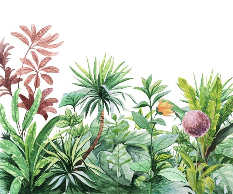 Φωτοταπετσαρία Τοίχου Τροπικά Φυτά - Komar - Decotek IAX6-0007 (300cm x 250cm)-0