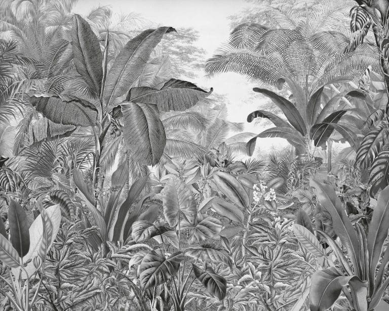 Φωτοταπετσαρία Τοίχου Ασπρόμαυρή Ζούγκλα - Komar - Decotek IAX7-0003 (350cm x 280cm)-0