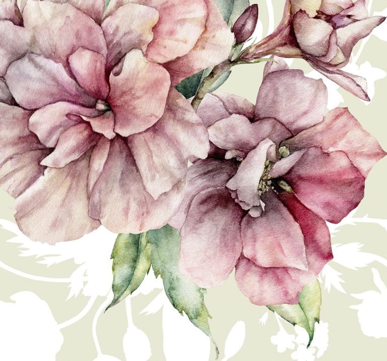 Φωτοταπετσαρία Τοίχου Σύνθεση Λουλουδιών - Komar - Decotek INX6-005 (300cm x 280cm)-0