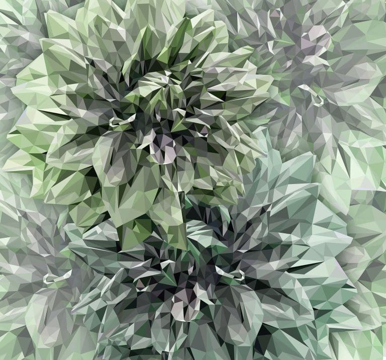 Φωτοταπετσαρία Τοίχου 3D Λουλούδια - Komar - Decotek INX6-036 (300cm x 280cm)-0