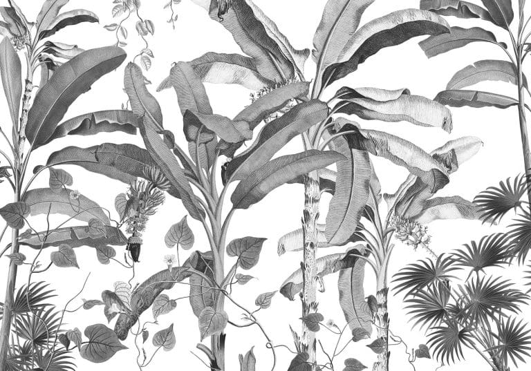 Φωτοταπετσαρία Τοίχου Φύλλα Μπανάνας - Komar - Decotek INX8-082 (400cm x 280cm)-0