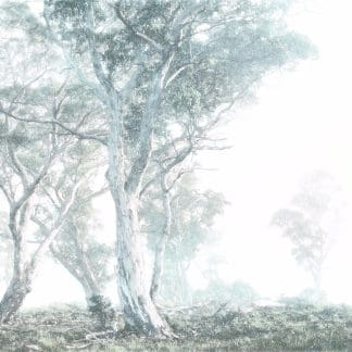 Φωτοταπετσαρία Τοίχου Μυστήριο Δάσος - Komar - Decotek R3-023 (300cm x 280cm)-0