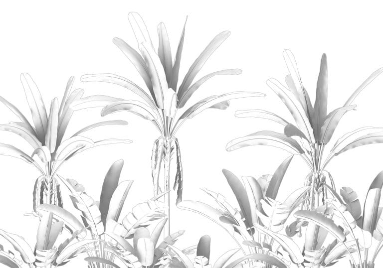 Φωτοταπετσαρία Τοίχου Εξωτικά Τροπικά Φυτά - Komar - Decotek R4-051 (400cm x 280cm)-0