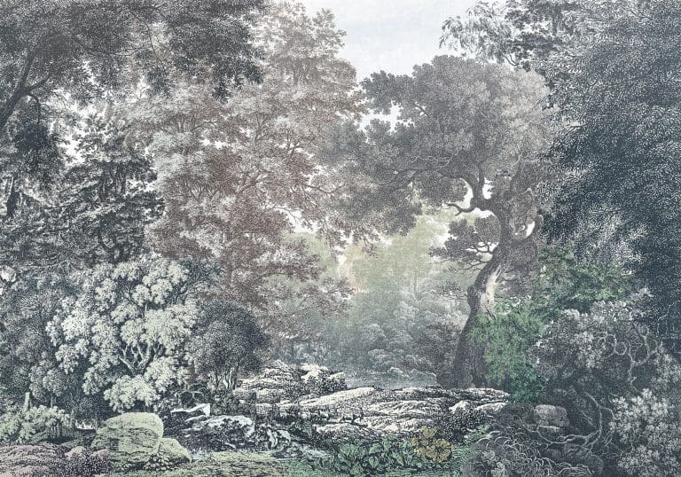 Φωτοταπετσαρία Τοίχου Παραμυθένιο Δάσος - Komar - Decotek R4-060 (400cm x 280cm)-0