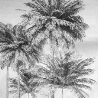 Φωτοταπετσαρία Τοίχου Φοίνικες από το Μαγευτικό Μαϊάμι - Komar - Decotek x4-1019 -0
