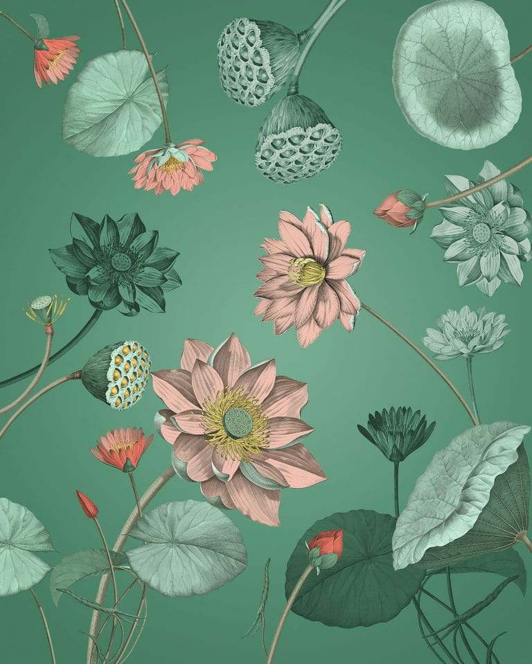 Φωτοταπετσαρία Τοίχου Ζωγραφισμένα Λουλούδια - Komar - Decotek x4-1028-0