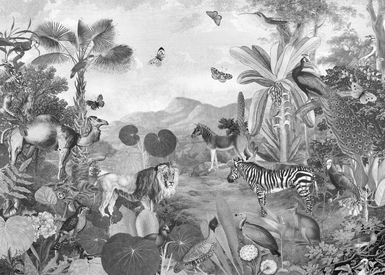 Φωτοταπετσαρία Τοίχου Ζούγκλα και Άγρια Ζώα - Komar - Decotek x7-1016 (350cm x 250cm)-0