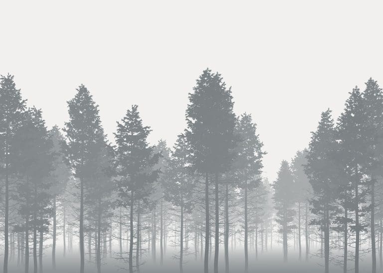 Φωτοταπετσαρία Τοίχου Μυστικό Δάσος - Komar - Decotek x7-1021 (350cm x 250cm)-0