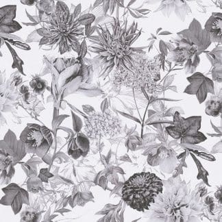 Ταπετσαρία Τοίχου Φλοράλ – AS Creation,Dreamy Flowery (1005x53cm) – Decotek 381753-0