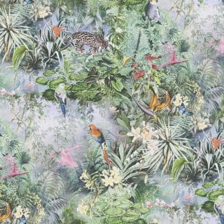 Ταπετσαρία Τοίχου Τροπικά Φυτά και Παπαγάλοι – AS Creation,Dreamy Flowery (1005x53cm) – Decotek 381792-0