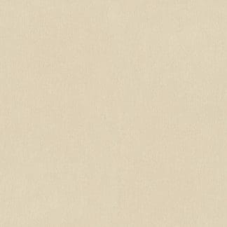 Μονόχρωμη Ταπετσαρία Τοίχου – AS Creation,Dreamy Flowery (1005x53cm) – Decotek 383723-0