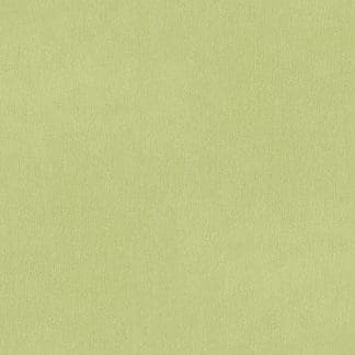 Μονόχρωμη Ταπετσαρία Τοίχου – AS Creation,Dreamy Flowery (1005x53cm) – Decotek 383747-0