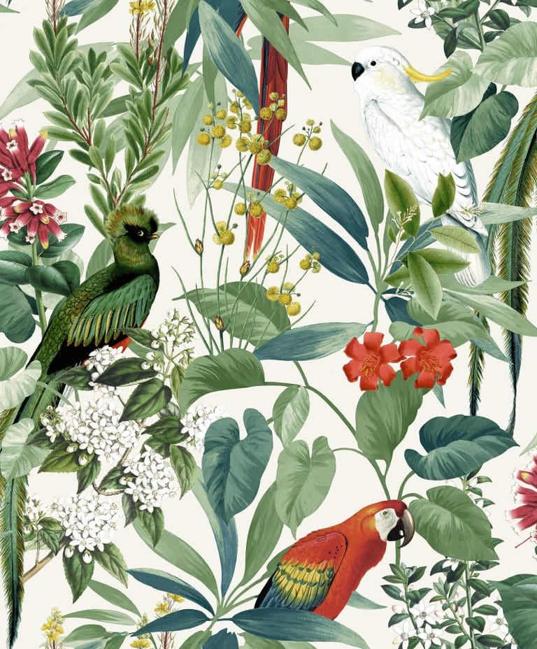Ταπετσαρία Τοίχου Τροπικά φυτά και Παπαγάλοι - Ugepa, Escapade (1005 x 53 cm) - Decotek L76204-0