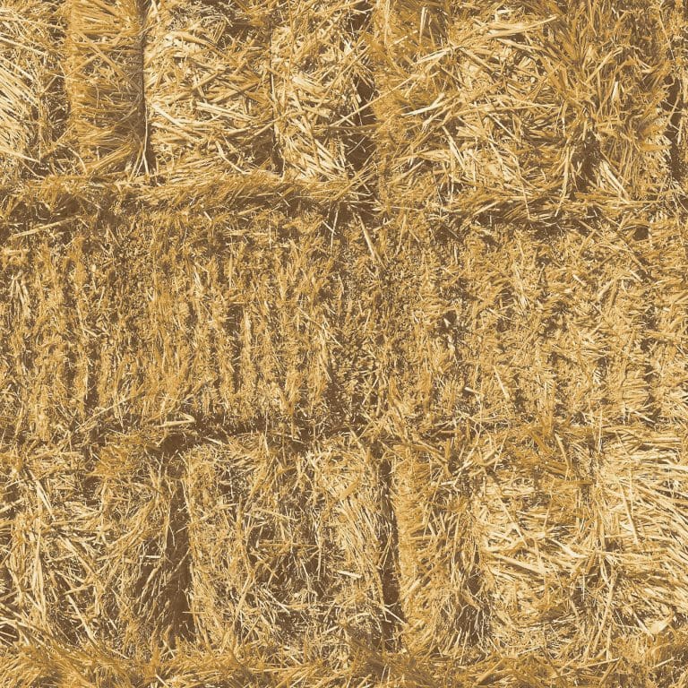 Ταπετσαρία Τοίχου Άχυρο - Ugepa, Escapade (1005 x 53 cm) - Decotek L78002-0