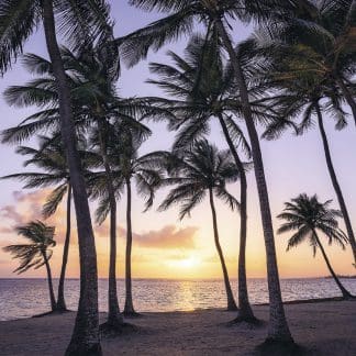Komar Non Woven Photomural Palmtrees on Beach-0
