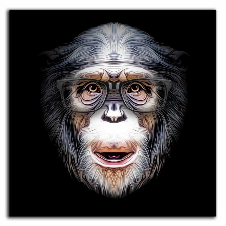 Πίνακας Ζωγραφικής Μοντέρνο Κεφάλι Πίθηκου - Decotek 220428-217379