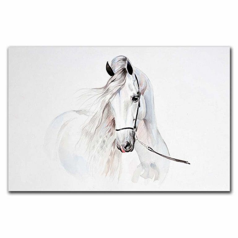 Πίνακας Ζωγραφικής Άσπρο Άλογο - Decotek 220478-217477