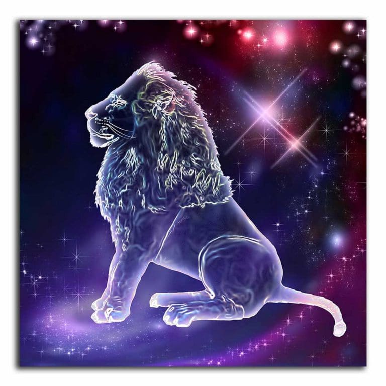 Πίνακας Ζωγραφικής Λιοντάρι στα Αστέρια - Decotek 220500-212037