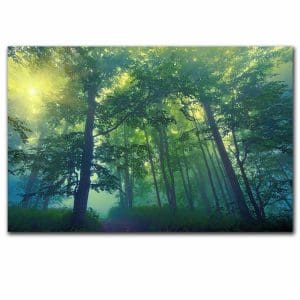 Πίνακας Ζωγραφικής Βόλτα στο Δάσος - Decotek 220518-212109