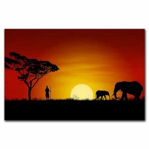 Πίνακας Ζωγραφικής Ηλιοβασίλεμα στην Αφρική - Decotek 220725-212893