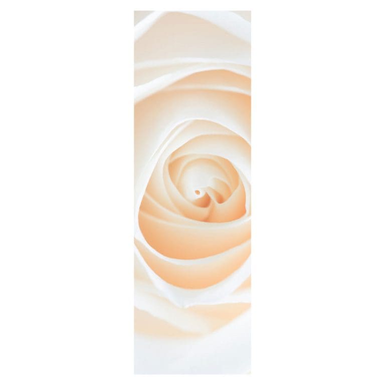 Αυτοκόλλητο Ψυγείου Λευκό Τριαντάφυλλο - Decotek 20394-217746
