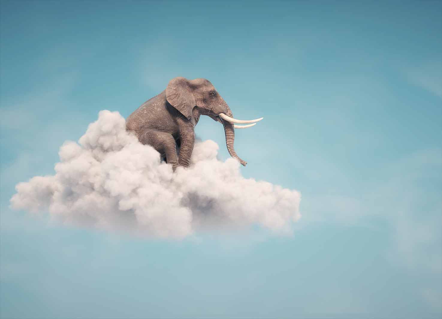 Φωτοταπετσαρία Elephant Siting on a Cloud - Decotek 60416