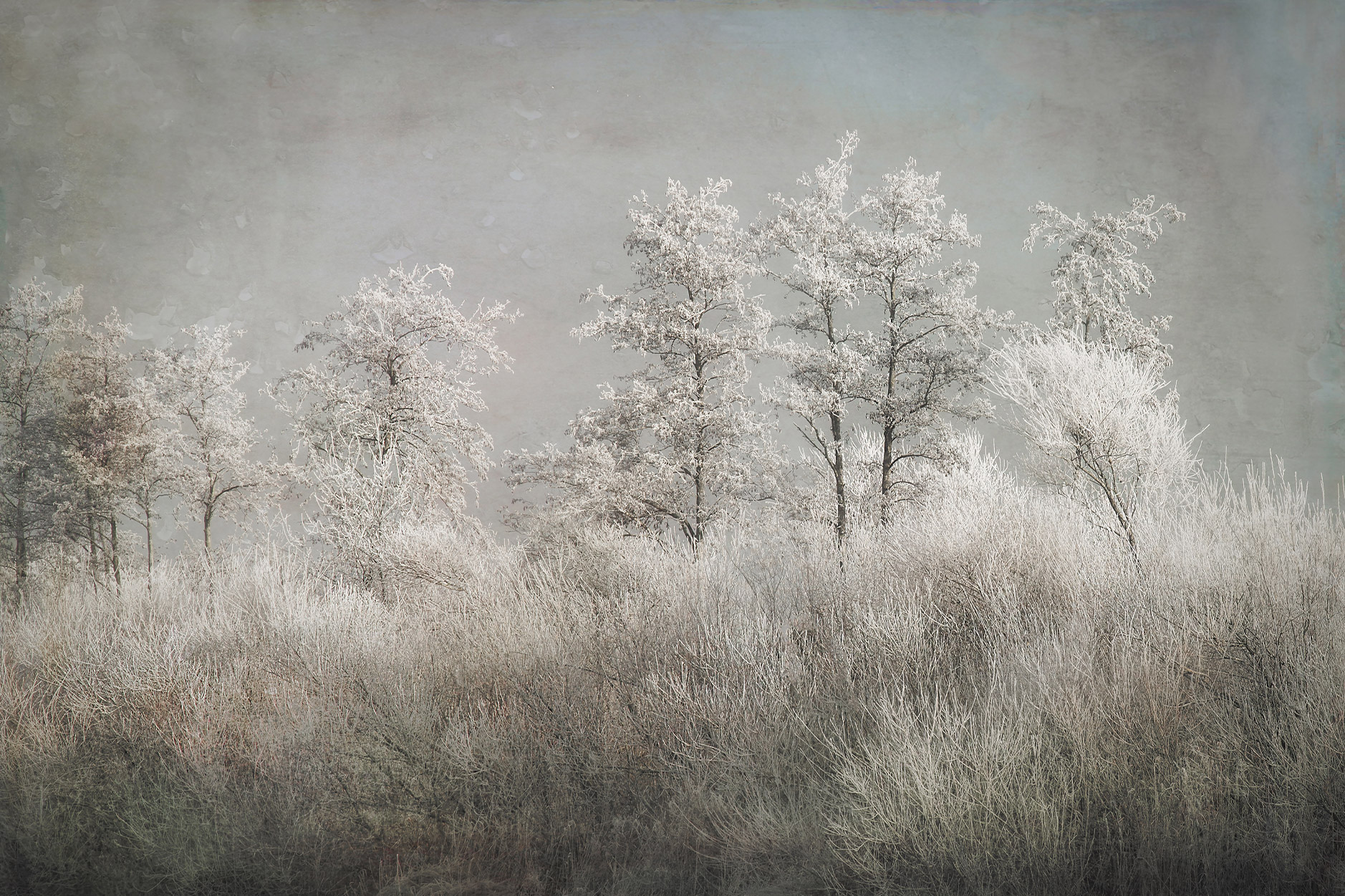 Φωτοταπετσαρία  Winter View - Decotek 60499