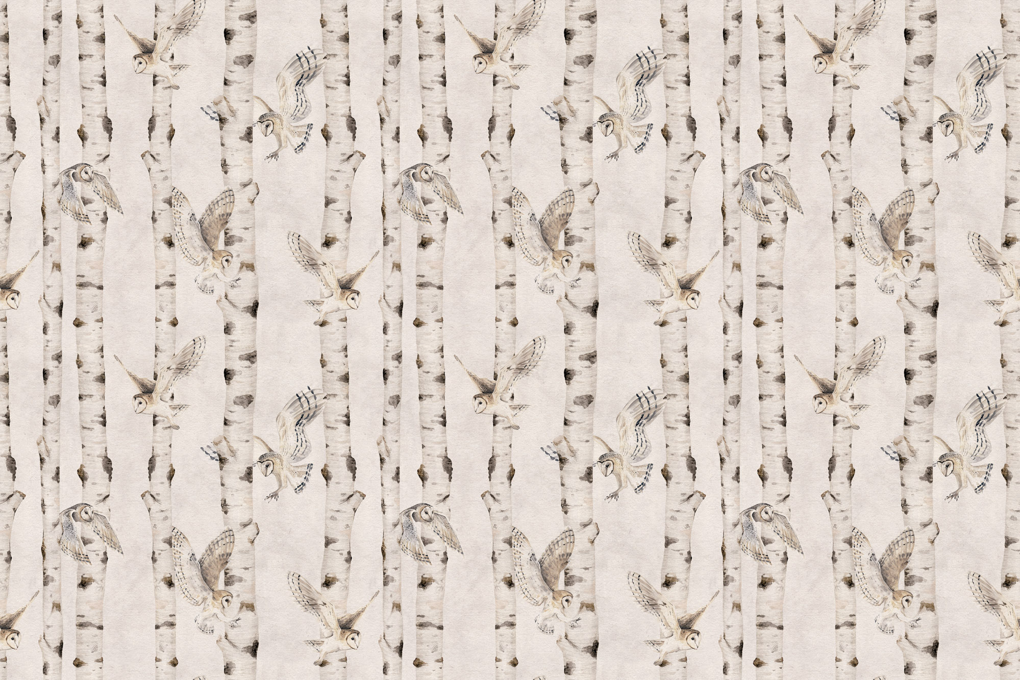 Φωτοταπετσαρία Birch and Owls, White - Kikki Belle 60616