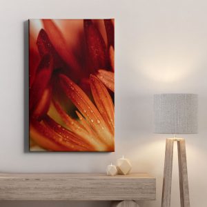 Πίνακας Ζωγραφικής Πέταλα Κόκκινου Λουλουδιού - Decotek 221822