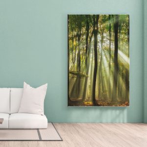 Πίνακας Ζωγραφικής Ηλιαχτίδες στο Δάσος - Decotek 221890