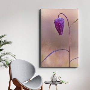 Πίνακας Ζωγραφικής Φυσική Κομψότητα - Decotek 222086