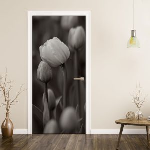 Αυτοκόλλητο Πόρτας Κομψές Τουλίπες - Decotek 31023