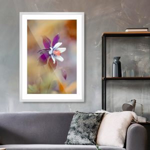 Πόστερ - Αφίσα Purple Dream - Decotek 33778