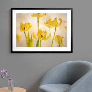 Πόστερ - Αφίσα Χρυσές Τουλίπες - Decotek 33791