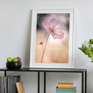 Πόστερ - Αφίσα Ροζ Κόσμος - Decotek 33795