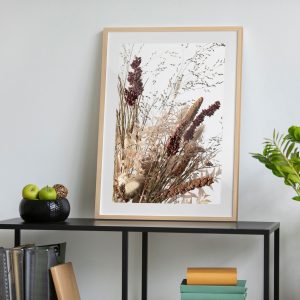 Πόστερ - Αφίσα Dried Botanicals - Decotek 33781