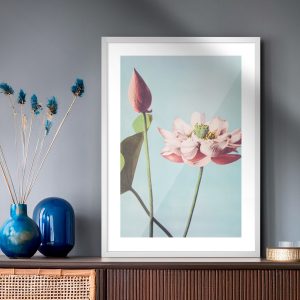 Πόστερ - Αφίσα Lotus Bloom - Decotek 33828