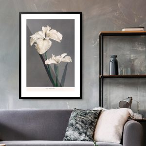 Πόστερ - Αφίσα Iris Kaempferi - Decotek 33793