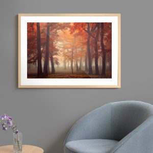 Πόστερ - Αφίσα Φθινοπωρινή Ομίχλη - Decotek 33774