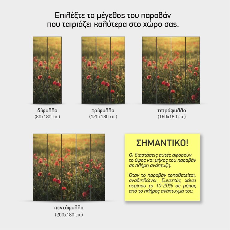 Μεγέθη παραβάν Παπαρούνες στο Λιβάδι — δίφυλλο έως πεντάφυλλο
